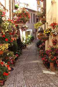 Spello